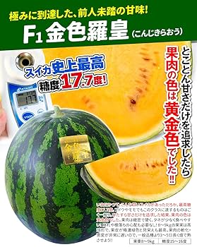 スイカ接木苗　大玉スイカ　小玉スイカ　金色羅皇　お問い合わせページ　農家直送 81Wv+Q2dKTL._UF350,350_QL80_.jpg